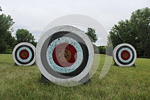 Three Archery Targets in a Grass Field