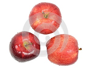 Three wet red apple isolated on white background.
