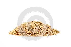 Three wheat spikelets isolated on white background. Top view wheats