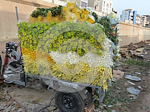 Three-wheeled vehicle with hundreds of white and yellow flowers on top at the Quang Ba market in Hanoi, Vietnam.