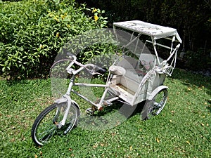 Three wheeler cycle in the park