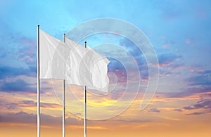Three white blank corporate flags waving in the wind against sunset sky