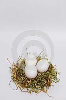 Three white eggs in straw nest. closeup. isolate