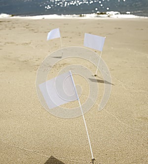 Three white flags at the beach