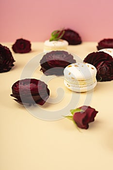 Three white macaroons cakes artfully laid out among the buds of