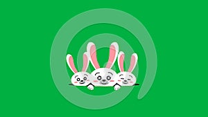 Three white rabbits looking from hole animation