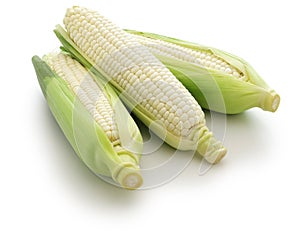 Three white sweet corns