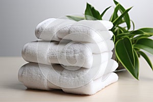 Three white towels on the background of a green plant