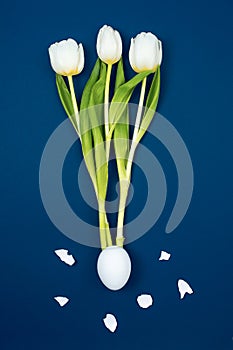 Three white tulips hatched from the egg and around the shell. On a blue background