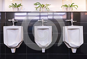 Three white urinals in men bathroom