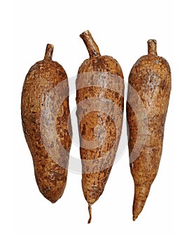 Three whole manioc