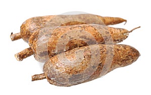 Three whole manioc