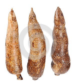 Three whole manioc