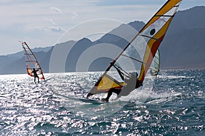 Three windsurfers