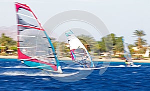 Three windsurfers in motion