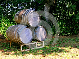 Three Wine Barrels