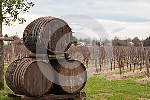 Three wine barrels