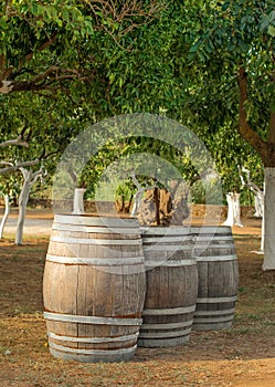 Three wine barrels.