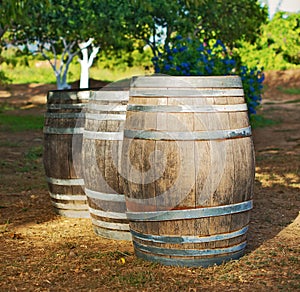 Three wine barrels.
