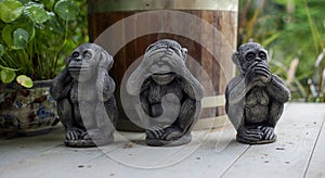 The three wise monkey, three mystic apessee no evil, hear no evil, speak no evil