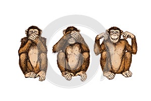 Three wise monkeys (see, hear, speak no evil)
