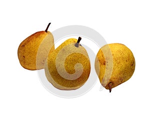 Three wonderful ripe pears