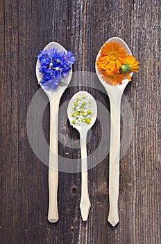 Three wooden spoons with fresh medical herbs