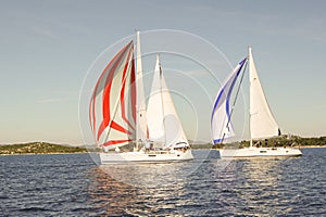 Three yachts sailing