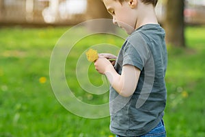 Three year old caucasian toddler boy holds a yellow dandelion in his hands.