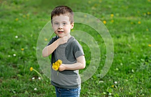 Three year old caucasian toddler boy holds a yellow dandelion in his hands.