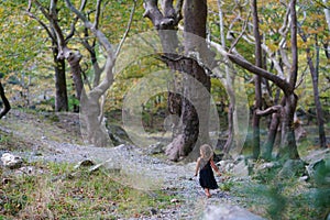 three-year-old girl in the beautiful nature of Mount Dirfi in Euboea