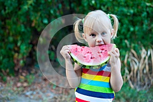 Three-year-old little European blonde girl eating a watermelon on a background of green leaves