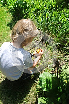 Three years old boy finding leprechaun in a garden