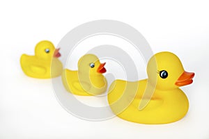 Three yellow bath rubber ducks