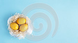 Three yellow eggs in a bird`s nest on a pastel blue background, Easter decor, flat lay, top view. Copy space.