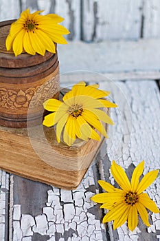 three yellow flowers