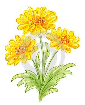 Three yellow flowers. EPS10 vector