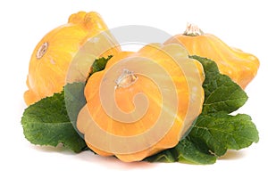 Three yellow pattypan squash with leaf isolated on white background