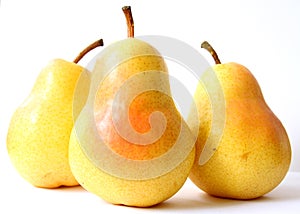 Three yellow pears, isolated on a white background