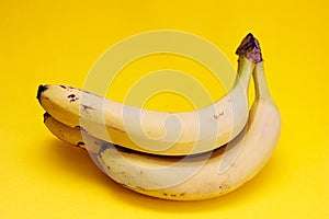 Three yellow ripe bananas on a yellow background