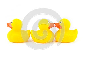 Three yellow rubber ducks isolated on white background