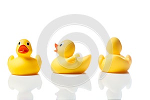 Three yellow rubber ducks on white with reflection