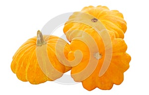 Three yellow squash, isolated