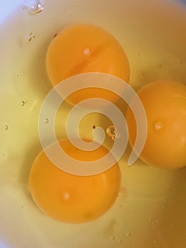 Three yolks
