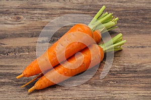 Three Young fresh ripe carrot