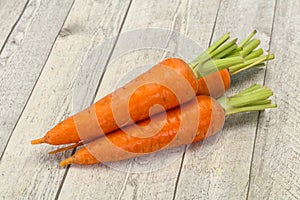 Three Young fresh ripe carrot