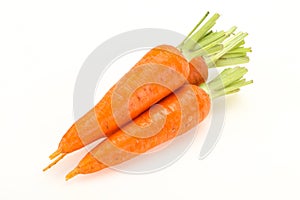 Three Young fresh ripe carrot
