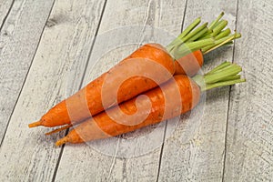 Three Young fresh ripe carrot