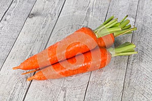 Three Young fresh ripe carrot