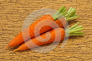 Three Young fresh ripe carrot